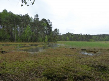 Rowerem nad Wartą - wiosna 2021, <p>K. Piasecka</p>