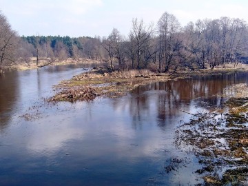 Spacer Działoszyńskim Przełomem Warty, 