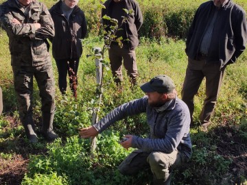 Szkolenie sadownicze w Nadleśnictwie Złoczew, 