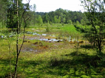 Rajd rowerowy Rowerem nad Warta-edycja wiosenna 2018, <p>Hieronim Andrzejewski</p>