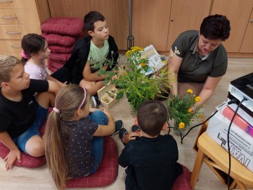 Wielki Dzień Pszczół z Bolimowskim Parkiem Krajobrazowym, fot. archiwum OT BPK, 